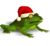 Christmas Super Frog