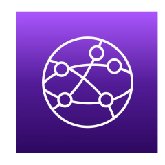 MANAGER NETWORK DETECTOR™