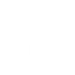 HammerHead