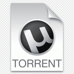 BitTorrent Acceleration Patch