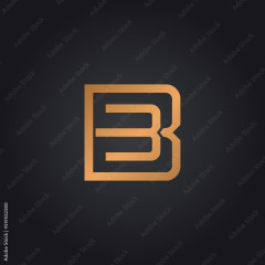 3B