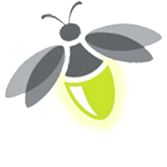 Foxifly