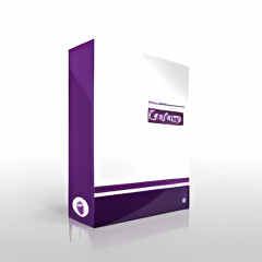 OneNote File Repair