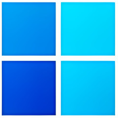 WhyNotWin11