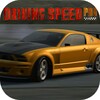 Driving Speed Pro