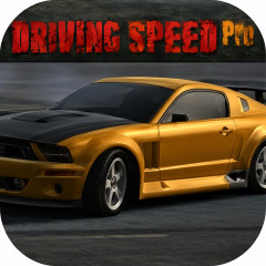 Driving Speed Pro