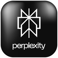 Perplexity