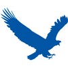 EagleGet