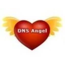 DNS Angel