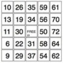 Bingo Caller