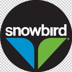 Snowbird