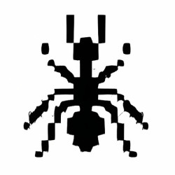 12-ants