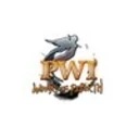 Perfect World International