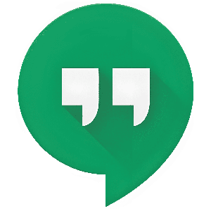Google voice and video chat