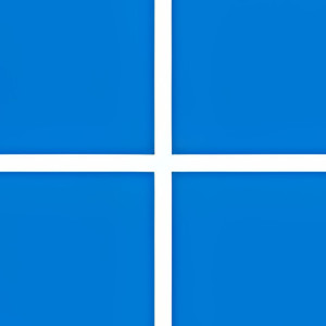 Windows 11