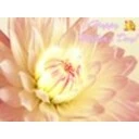 Happy Mothers Day Screensaver