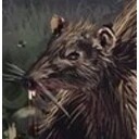 The Rats in the Wall