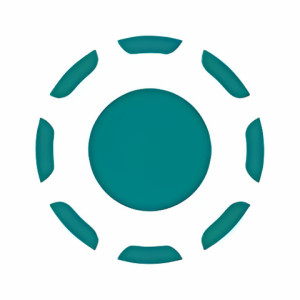 LocalSend