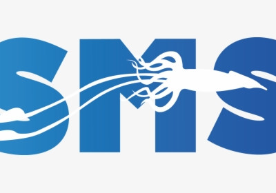 QuickSMS