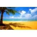 Summer Beach Screensaver