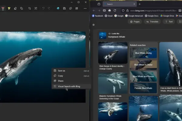 Windows 11 Snipping Tool Adds Visual Search Feature