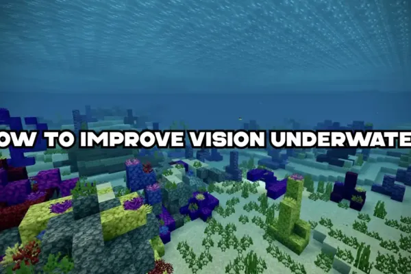 Maximizing Underwater Vision in Minecraft