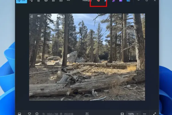 DeleteFIX Photo photo 4
