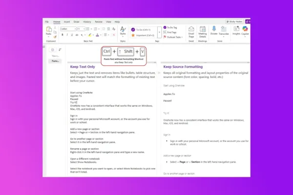 OneNote Introduces Unformatted Text Pasting Option