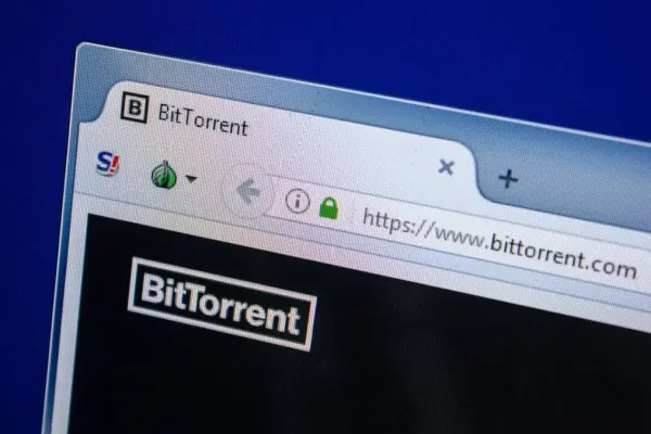 Torrent Platforms Lead Global Traffic in 2025