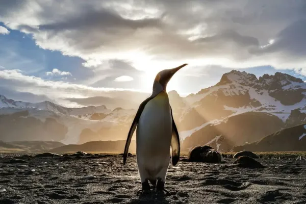 Linux Reader photo 2