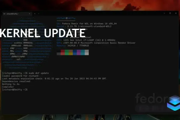Debian (WSL2) photo 1