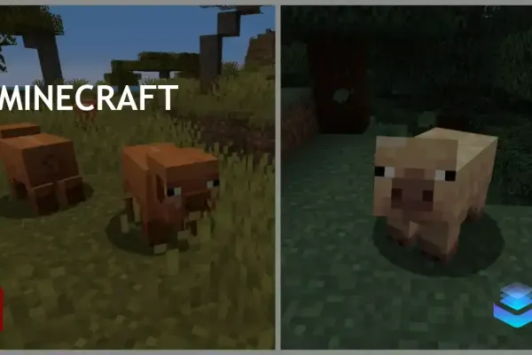 Minecraft photo 26