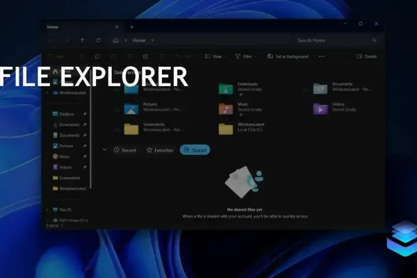 Windows 11 Update KB5043185 Introduces New Shared Section in File Explorer