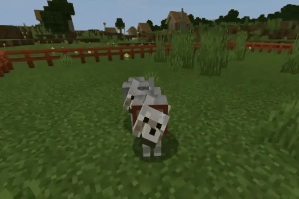 Minecraft photo 22