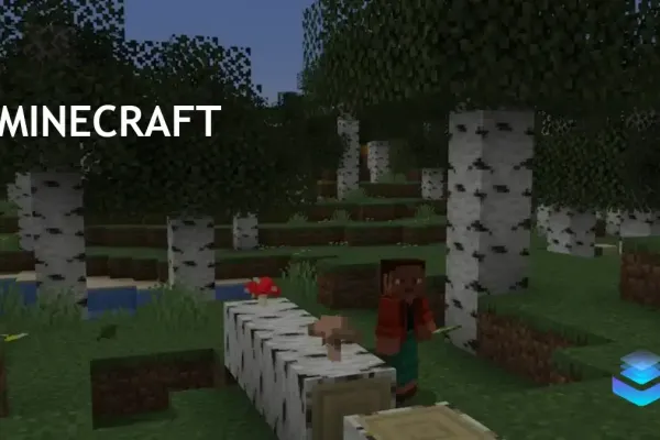 Minecraft photo 22