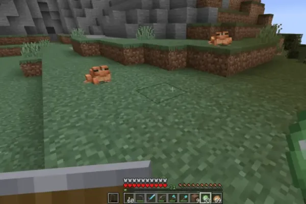 Minecraft photo 21