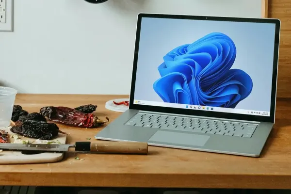 BleachBit photo 1