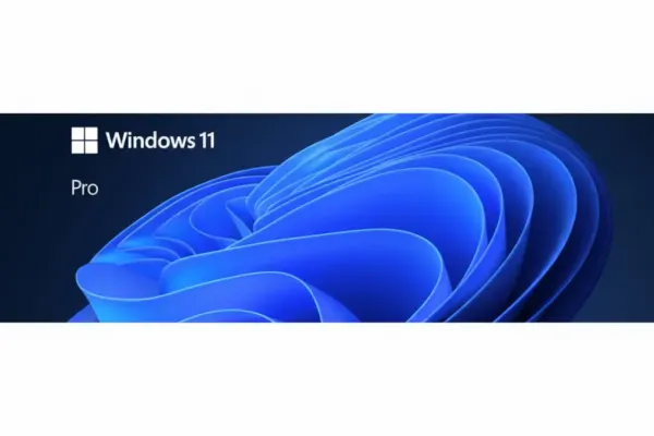 Windows 11 Pro License Now Available for $10
