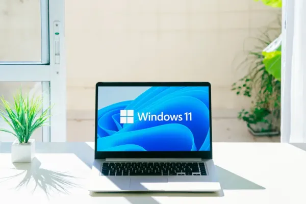 Comparing Windows 11 Home and Pro for Business Needs