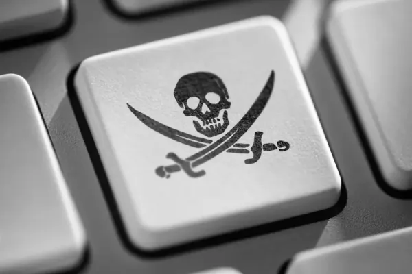 Piracy Case Results in Jail Sentence for Former Site Owner