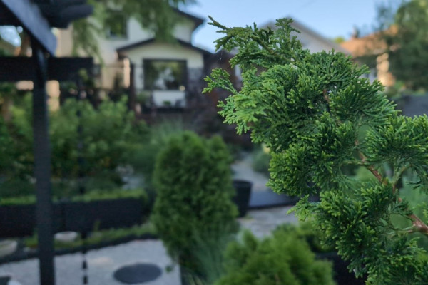 ProShot Camera App Offers Enhanced Control Over Camera Settings