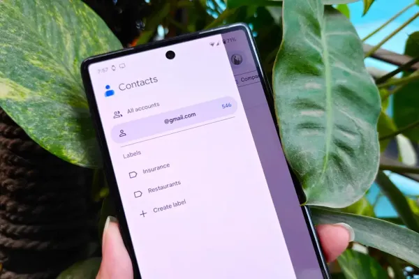 Google Contacts Introduces Advanced New Features for Users