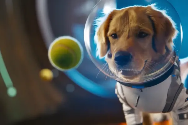 Sora Update Introduces Pet Cameos and Android App