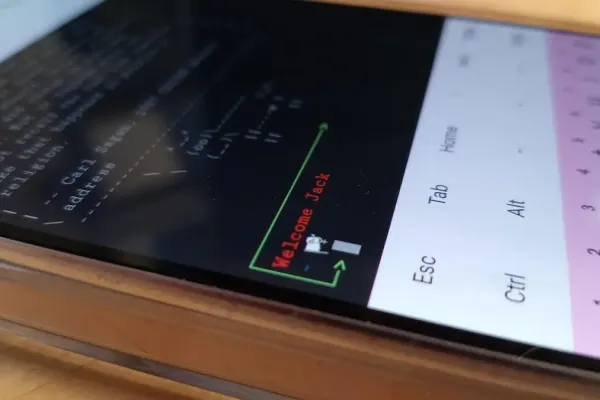 Exploring Versatile Uses of the Linux Terminal on Android