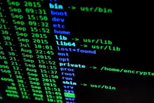 Linux Terminal App Brings Versatile Options to Android Devices