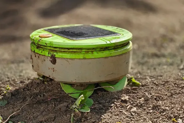 Seedtime Transforms Gardening with AI-Powered Scheduling