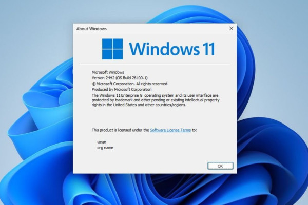 Calls for Windows 11 Government Edition to Reduce Advertisements Grow
