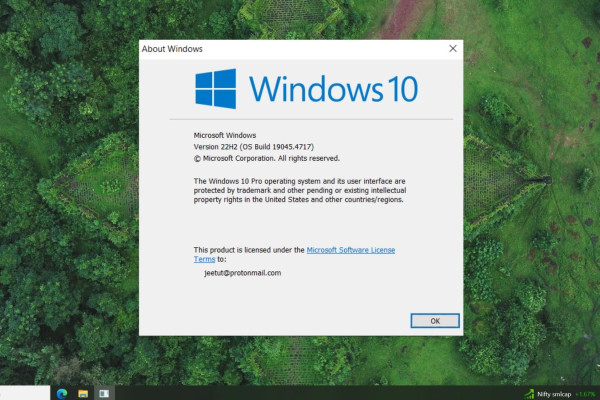 Windows 10 KB5040525 Update Fixes Key Issues for 22H2 PCs