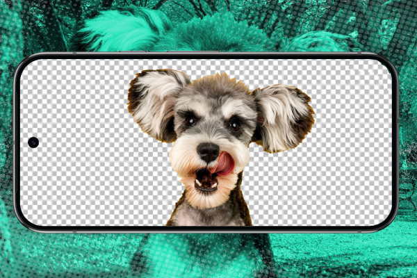 Exploring Top Apps for Removing Photo Backgrounds