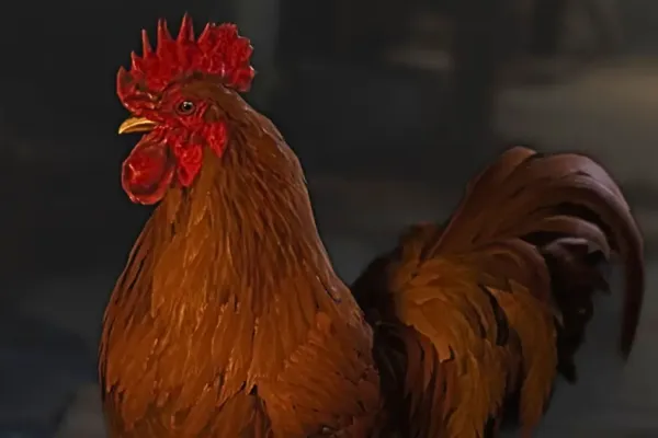 Find Dog Collar in Arc Raiders for Scrappy's Upgrade